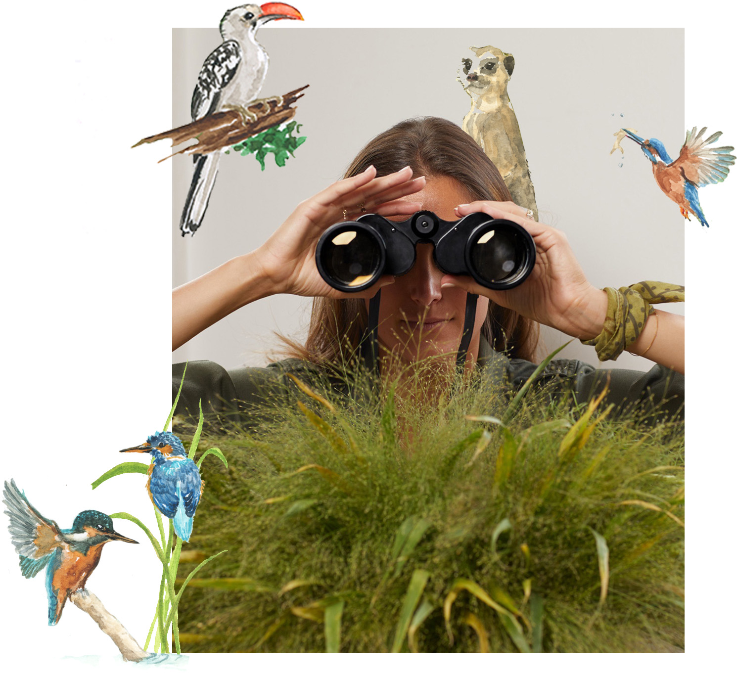 clementina binoculars with illustrated animals