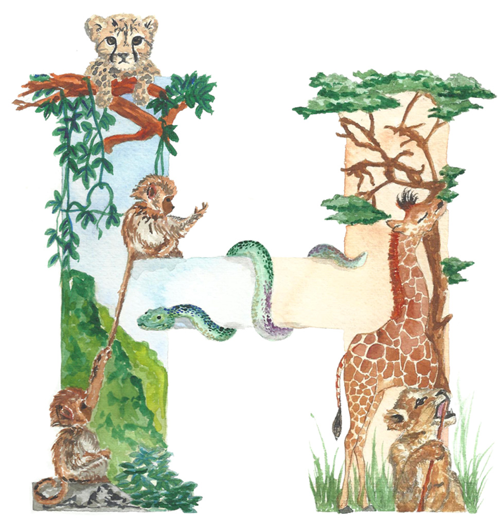 illustrated letter h from animals